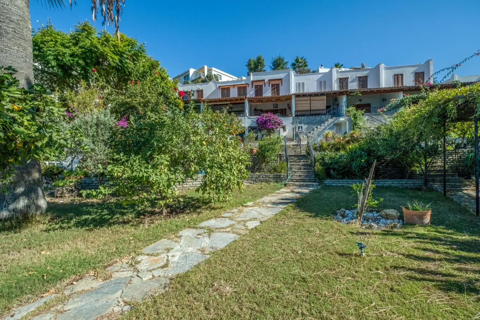 Garden area